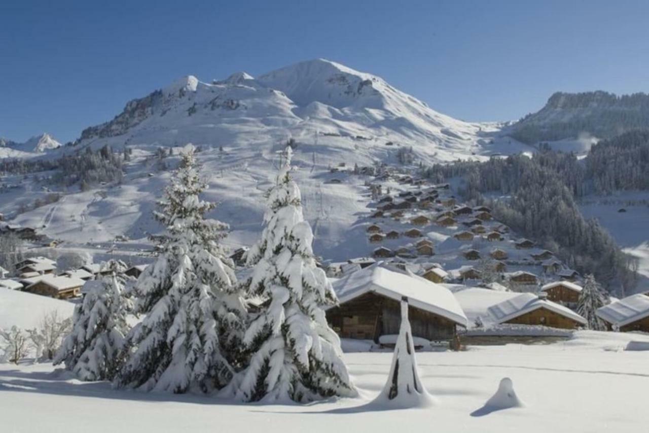 Bel Appartement Avec Vue Exceptionnelle Le Grand-Bornand Esterno foto